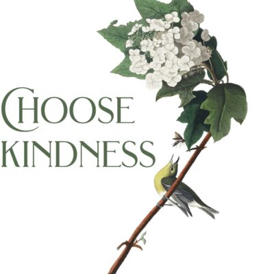 choosekindness 01 Thumbnail