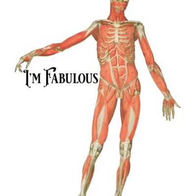 mandiagramfinal Thumbnail